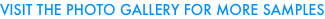 shapeimage_3_link_0